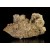 Fluorite & Calcite Moscona M02908